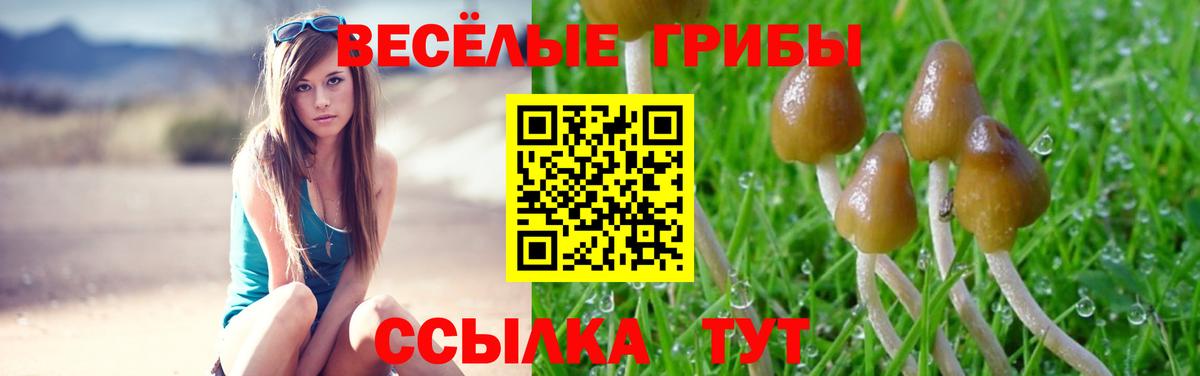 Мытищи  Псилоцибиновые грибы Cubensis  закладки  Галлюциногенные грибы Psilocybe  Вход с VPN 